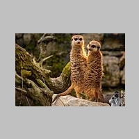2025_03_01_OPEL_Zoo_IMG_5892.jpg